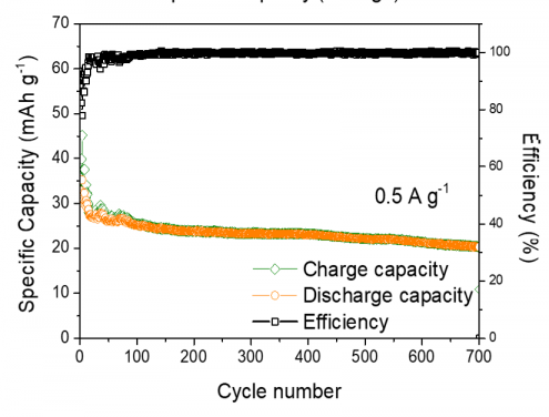 Electrochemical performance of the aqueous Mg metal battery 